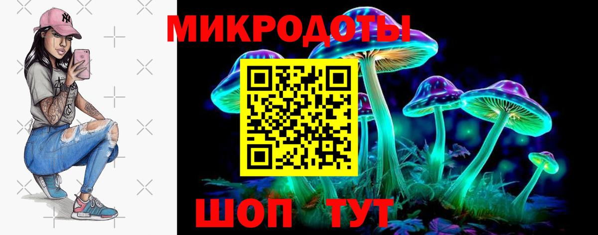 Псилоцибиновые грибы GOLDEN TEACHER  Вход с VPN  Тула 
