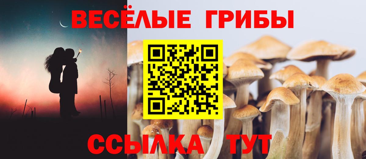 Псилоцибиновые грибы мицелий Тула
